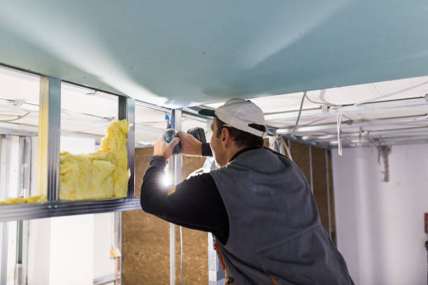 Best Radiant Barrier Insulation  in Hokendauqua, PA