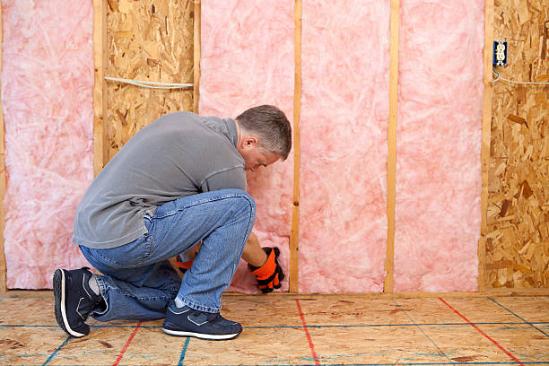 Best Wall Insulation Installation  in Hokendauqua, PA