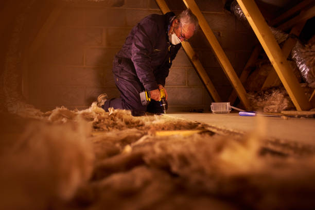 Best Basement Insulation  in Hokendauqua, PA