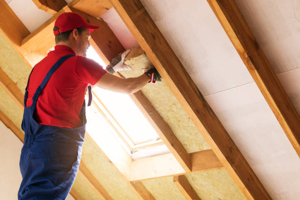 Best Eco-Friendly or Green Insulation Solutions  in Hokendauqua, PA